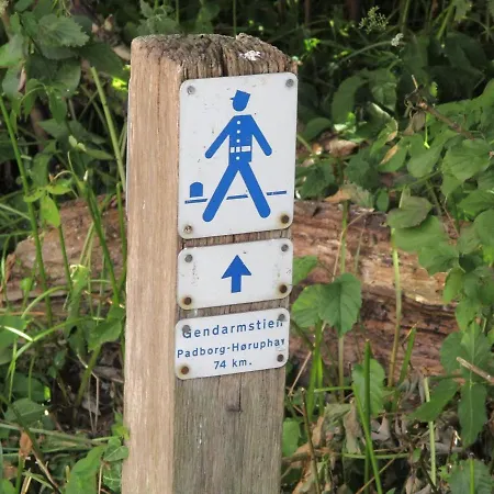 酒店 Padborg Hotel 帕兹堡