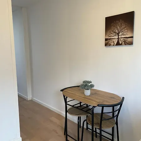 酒店 Padborg Hotel