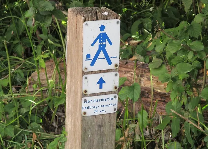 ホテル Padborg Hotel パドボー