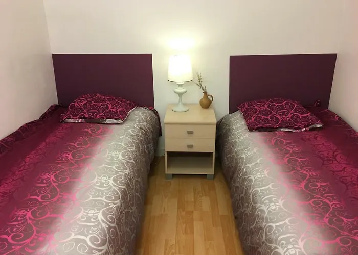 ホテル Padborg Hotel 2*